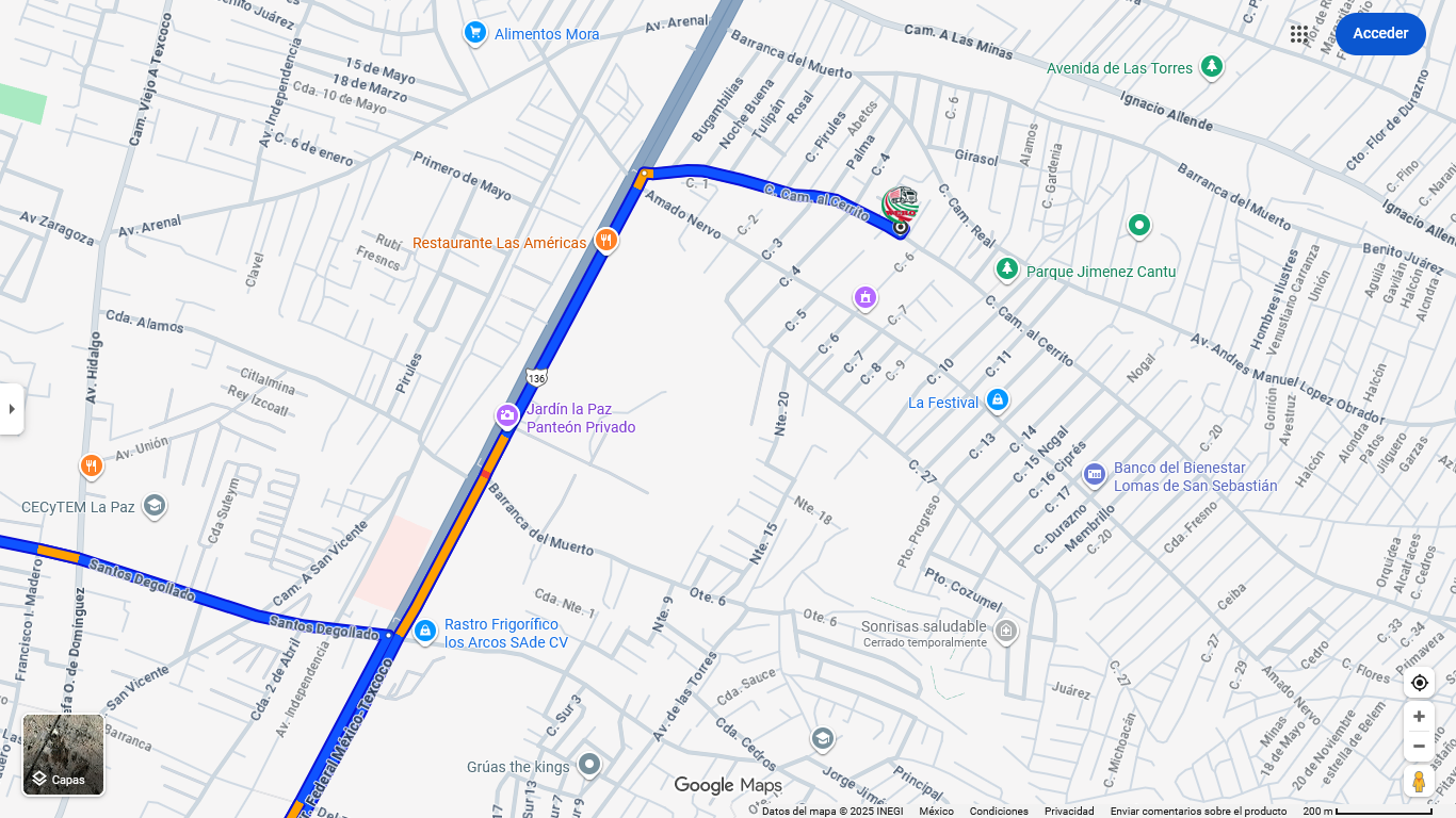 Google Maps